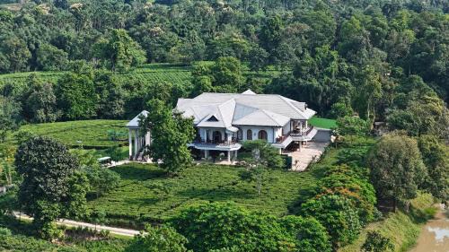Nagaon Resort | Vaani Greens Wildlife Resort, Kaziranga