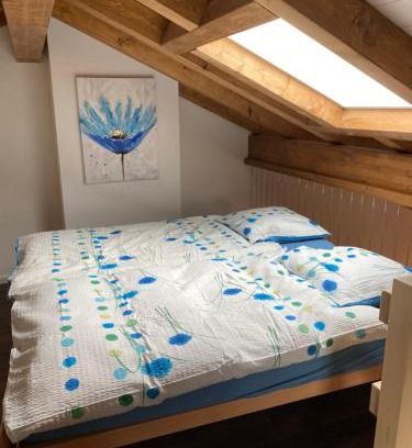 Courtelary Apartment | Vacances Mont-Crosin, Studio chez les Quadeurs