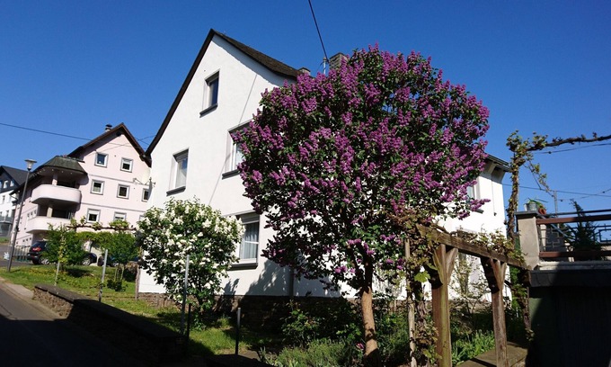 Ellenz Apartment | Vacation apartment Ewa -FeWo Poltersdorf