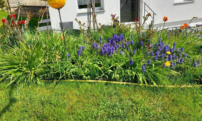 Rabenau Apartment | Vacation apartment/apartment for 4 guests with 60m² in Rabenau-Spechtritz (167671)