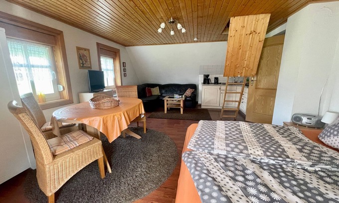 Kolonie Apartment | Vacation apartment Drossel - Thatched plank house Zum Heuschober