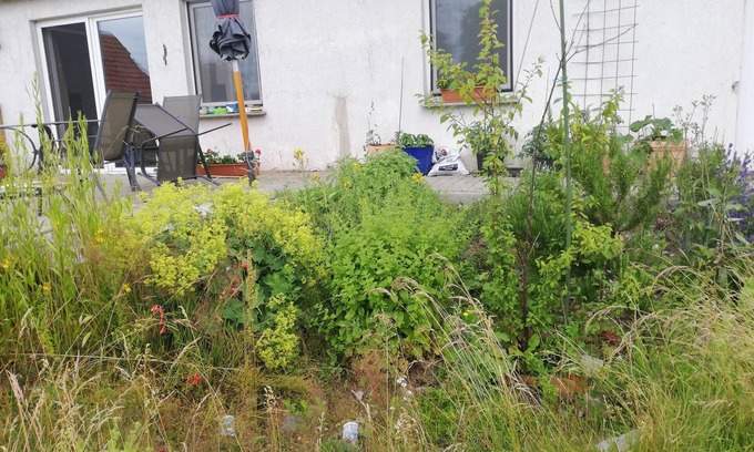 Korchow Apartment | Vacation apartment/apartment for 4 guests with 75m² in Wittenburg (144958)