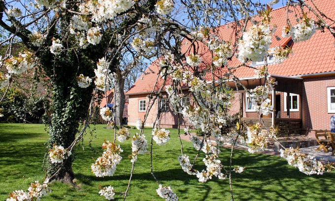 Suderburg Apartment | Vacation apartment/apartment for 8 guests with 140m² in Suderburg (20537)