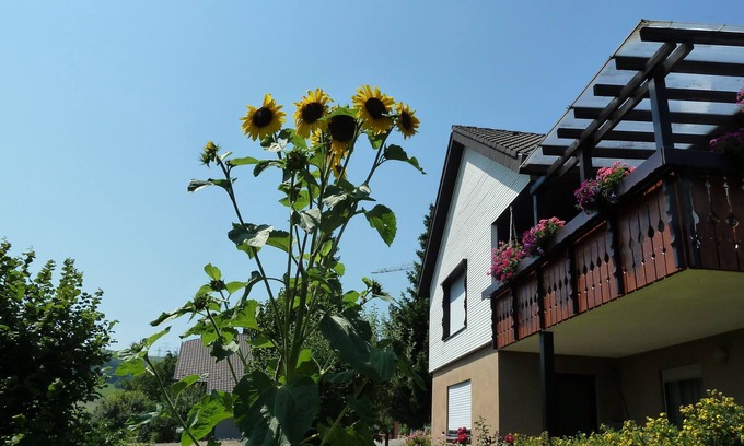 Weilheim Apartment | Vacation apartment/apartment for 2 guests with 35m² in Weilheim (116856)
