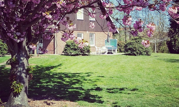 Jork Apartment | Vacation apartment/apartment for 2 guests with 33m² in Jork (125792)