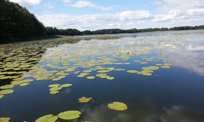 Muritz Apartment | Vacation apartment - cozy hours, 100 m to the water, peace and pure nature