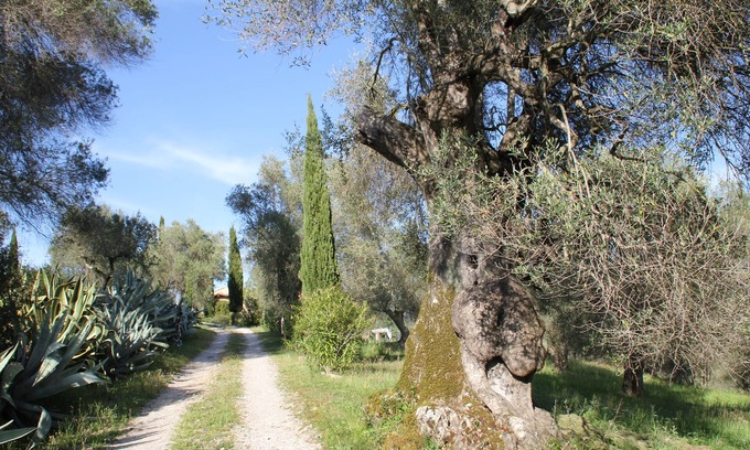 Caldana Apartment | Vacation apartment in a Tuscan stone house
