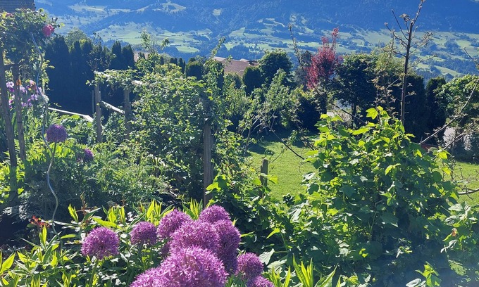 Sulzberg Apartment | Vacation apartment Panorama - new vacation apartment