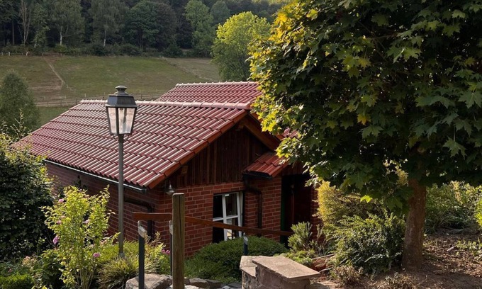Solling House | Vacation home, bathroom, WC - Holiday home Buren-Hof