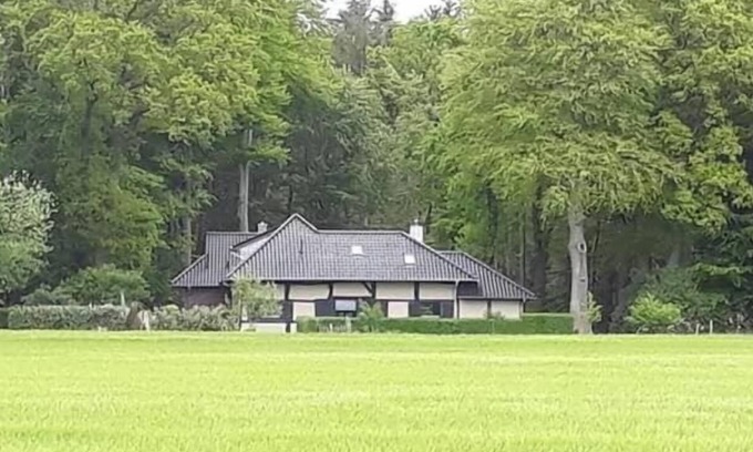 Werlte House | Vacation home for 12 guests with 160m² in Werlte (126910)