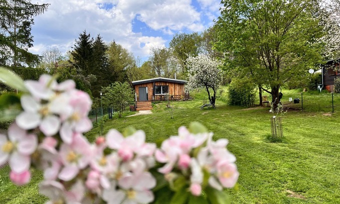 Neustadt/Harz House | Vacation home II Zittertal Neustadt Harz with large fenced garden