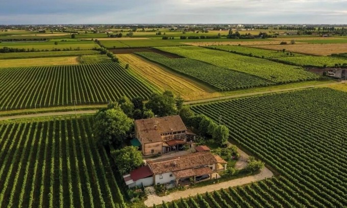 Lonigo House | Vacation home La Vigna with Pool
