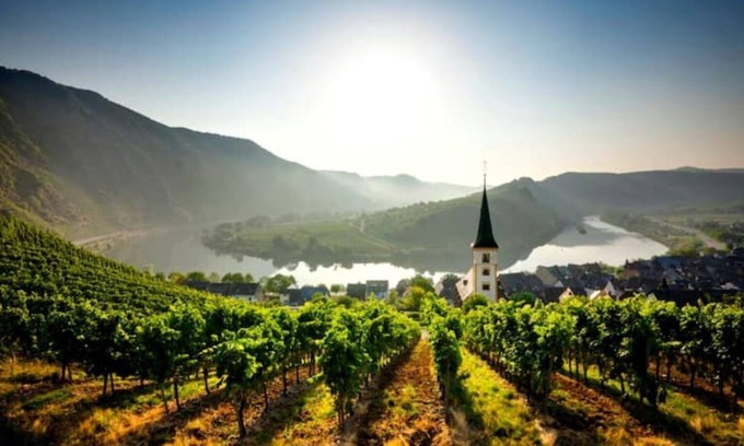 Klotten Apartment | Vacation home Moselzeit in Klotten near Cochem