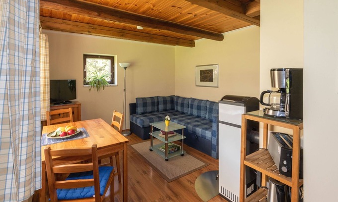 Burg-Dorf Apartment | Vacation home, sleeping loft, 1 bedroom/kitchenette, shower/WC (from 12 years) - Froschkönig