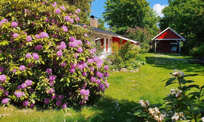 Brodersby House | Vacation home "Strand-Haus" in Brodersby-Burg.