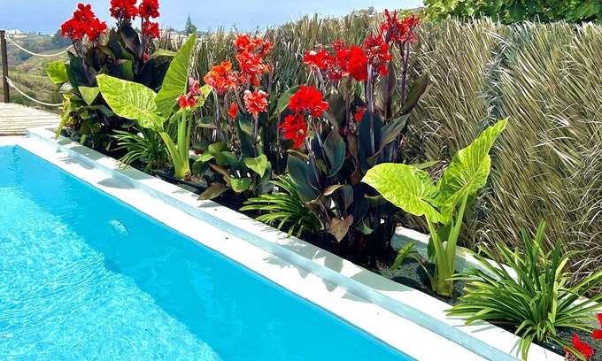 Firgas Villa | Vacation Villa 'Ocean Breeze' with Sea View, Private Pool and Wi-Fi