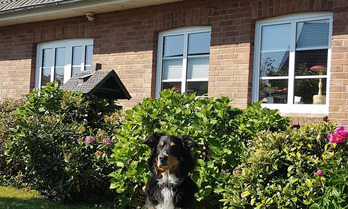 Klanxbuell Apartment | Vacation with a dog in North Frisia