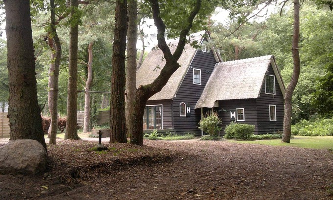 Norg House | Vakantiehuis in de Bossen van Norg
