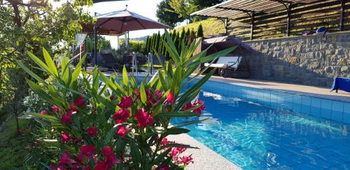 Brda House | Valentina Guest House at Pintar Wine Estate