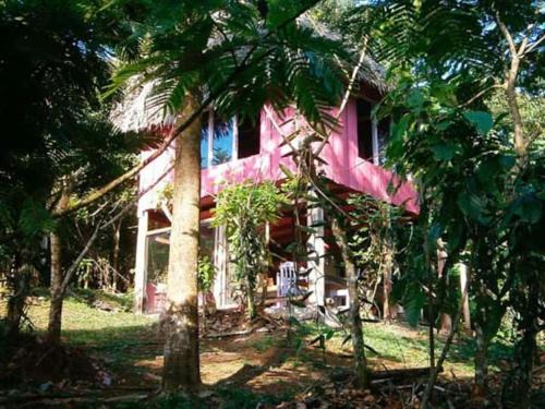 Sarapiqui Cabin | Vanilla Jungle Lodge - Rainforest Waterfall Garden