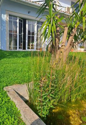 Penacova Bed & Breakfast | Varanda de Coimbra