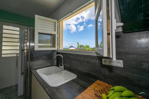 Le Diamant Apartment | Vaste appartement vue Rocher du Diamant