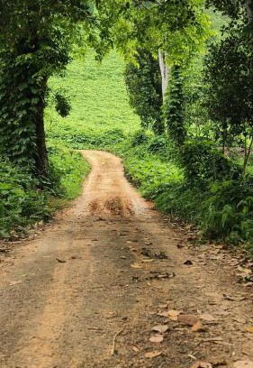 Talipparamba House | Vasudha Eco Homestay