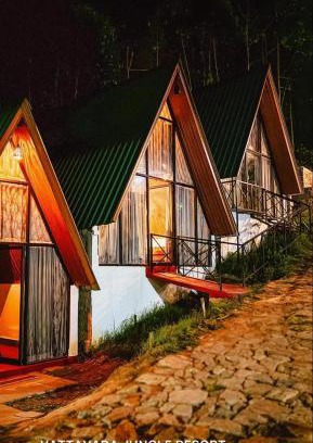 Periyur House | Vattavada Jungle Resort