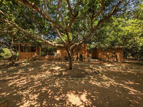 Karaikudi House | Vayal Chettinad by LuxUnlock Private Villas