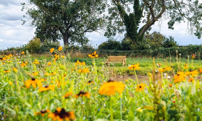 Arnold Cottage | Veiko - Mayflower Meadow