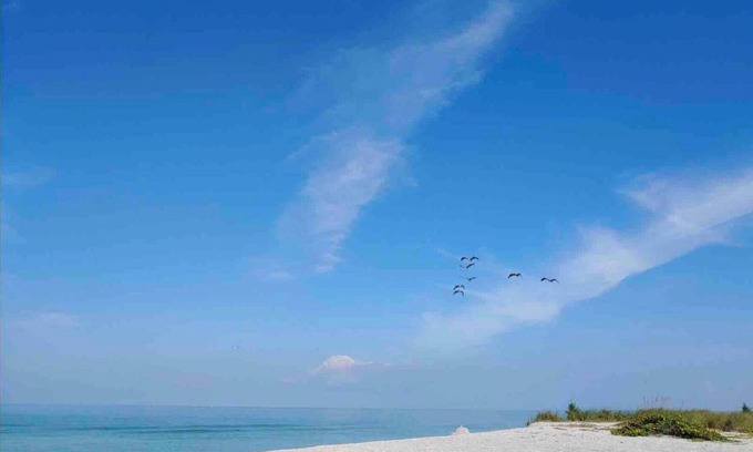 Golden Beach Apartment | Venice Island's Paradise By The Sea
