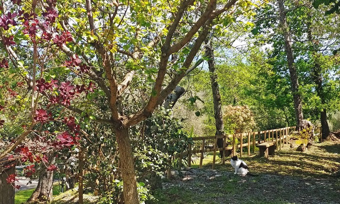 San Giovanni a Piro Hotel | Verdeblu House