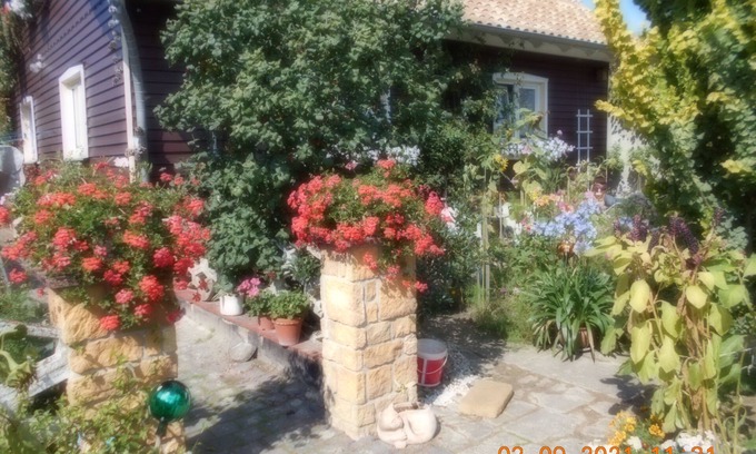 Dankerode Apartment | Vermiete Sehr Schönes Apartment/ferienwohnung in Dankerode im Harz