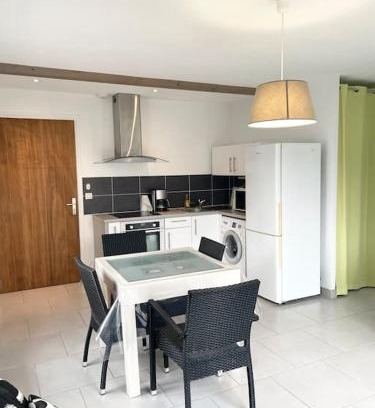 Salies-de-Bearn Apartment | VERT ANIS- Appartement T2 lumineux, très bien équipé, proche centre-ville