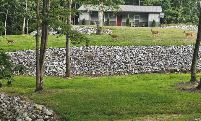 Kuttawa House | Very nice home minutes from the water in peaceful setting