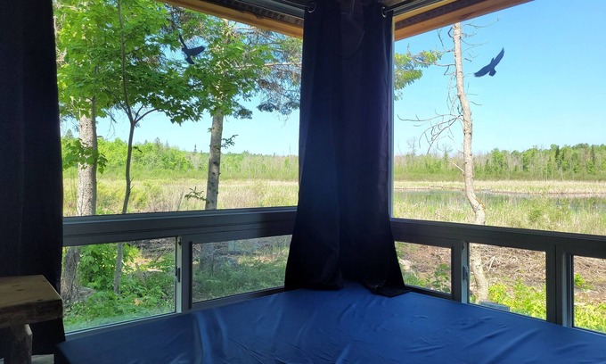 Golden Lake Cabin | Very Private, Secluded, Nature, Pet Friendly, NO NEIGHBOURS -Red Pine cabin