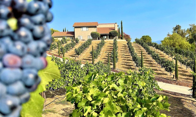 Temecula House | Via Vino Vineyard Estate - Hot Air Balloon Views