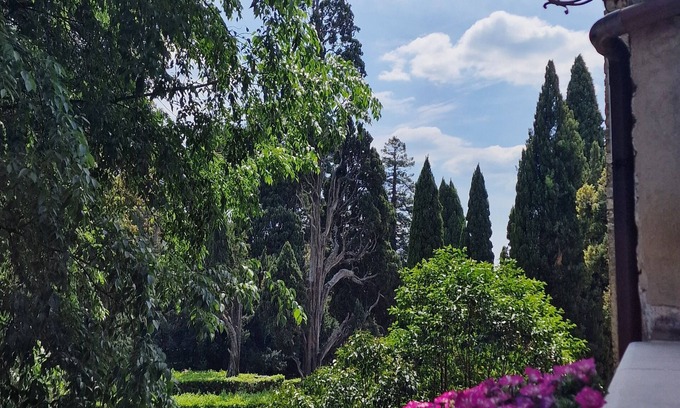 Tivoli Apartment | Vicolo d'Este