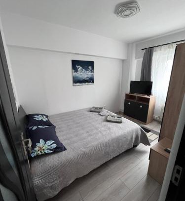 Miercurea-Ciuc Apartment | Victoria apartment Miercurea Ciuc