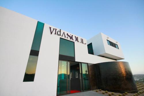 Vinorama Hotel | Vidasoul
