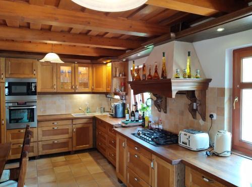 Tiszaorveny House | Vidra