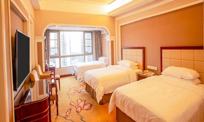 Lougang Hotel | Vienna Hotel Shenzhen Songgang Liye Road
