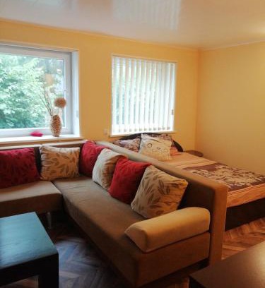 Kintai Apartment | Vieno kambario butas
