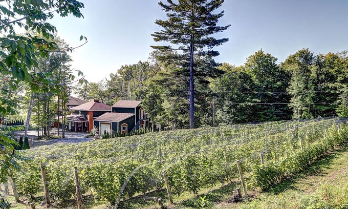 Neuville House | Vignoble du Domaine des 3 Moulins à 20 Min. de Qc