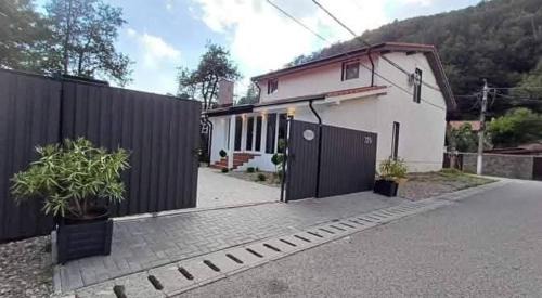 Valiug House | Vila Amadark