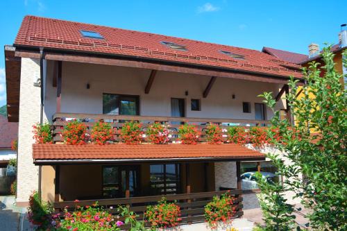 Baile Olanesti House | Vila Andrei