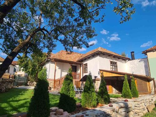 Stara Planina House | Vila Antić