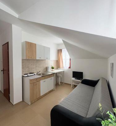 Brzece Apartment | Vila Aurora Gondola Kopaonik, 50m od Gondole Brzece