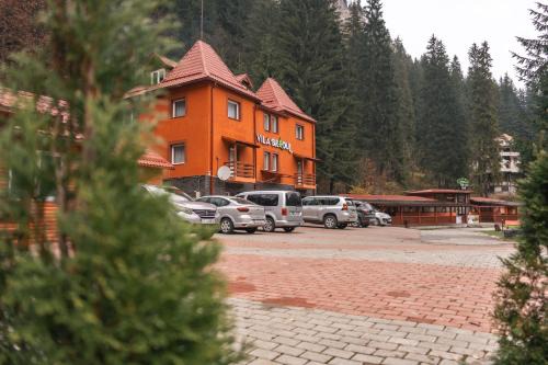 Lacu Rosu Bed & Breakfast | Vila Bradul