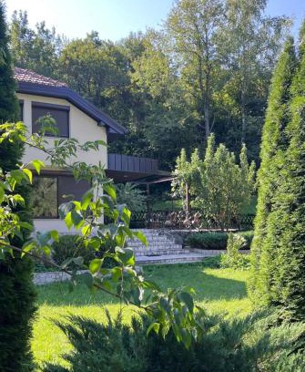 East Sarajevo Villa | Vila Garden River Jahorina - Sarajevo
